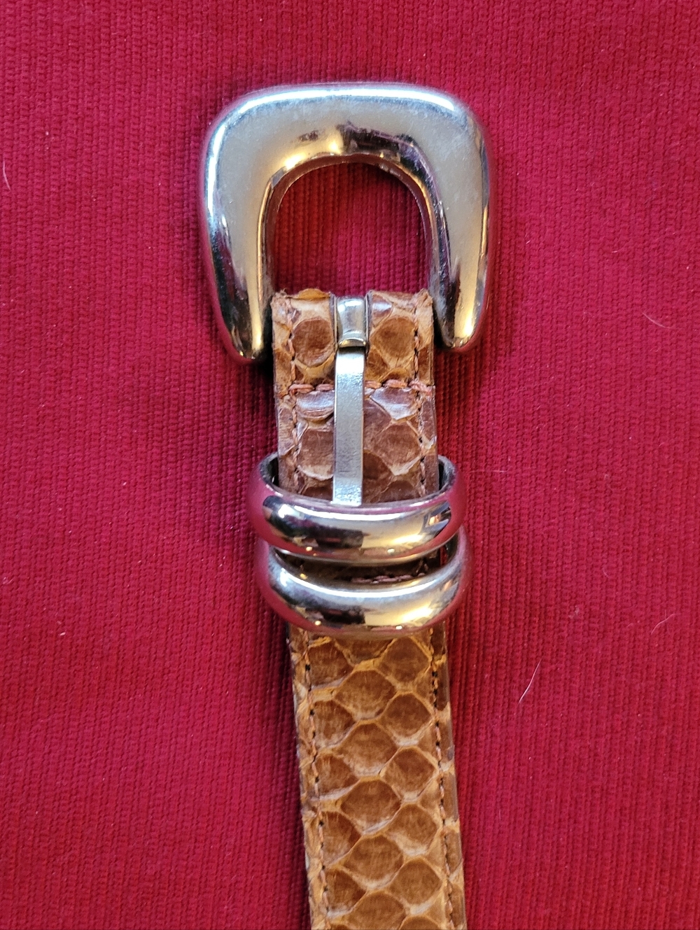 Genuine Snakeskin Brown Leather Belt with Silver Buckle